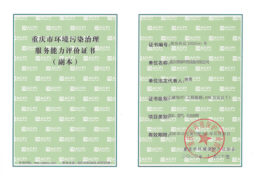 重慶市環(huán)境污染治理能力服務(wù)評價證書